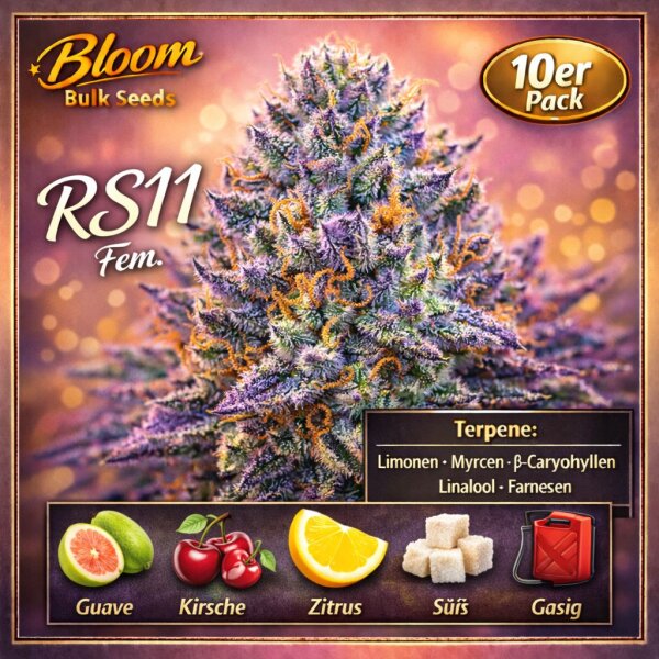 Bloom Bulk Seeds RS11 Fem 10St.