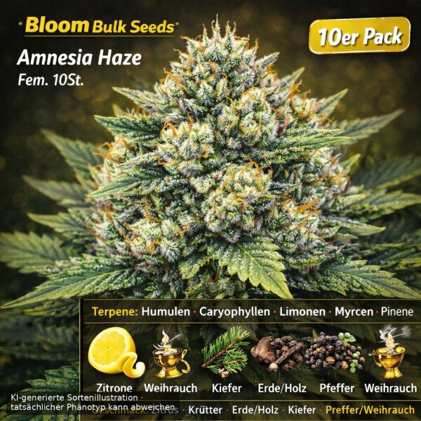 Bloom Bulk Seeds Amnesia Haze Fem 10St.