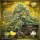 Bloom Bulk Seeds Pure Skunk Go Fast Fem 10St.