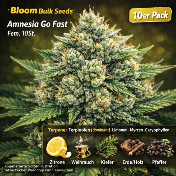 Bloom Bulk Seeds Amnesia Go Fast Fem 10St.