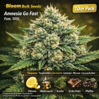 Bloom Bulk Seeds Amnesia Go Fast Fem 10St.