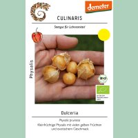 Physalis Dulceria