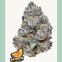 Fast Buds Rainbow Melon Fem 3St.