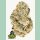 Fast Buds Gorilla Melon Fem 3St.