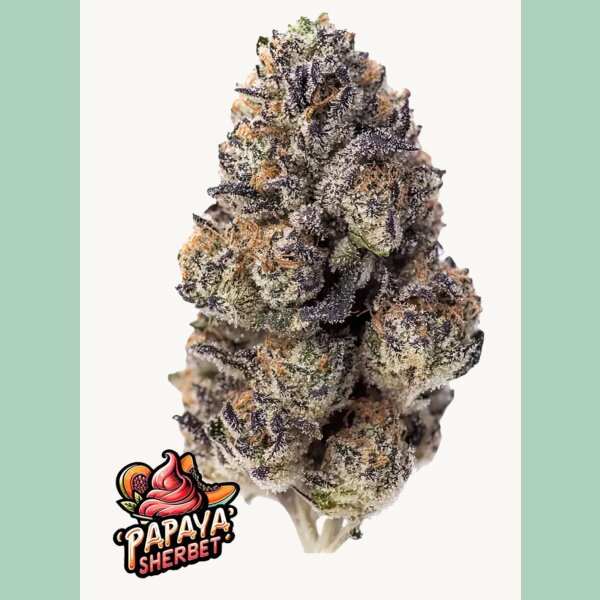Fast Buds Papaya Sherbet Fem 3St.