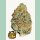 Fast Buds Lemon Mandarin Fem 3St.