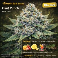 Bloom Bulk Seeds Fruit Punch Fem 10St.