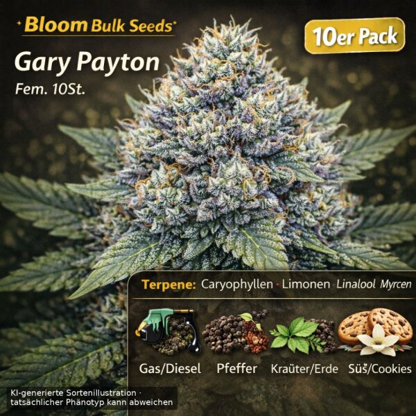 Bloom Bulk Seeds Gary Payton Fem 10St.