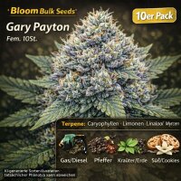 Bloom Bulk Seeds Gary Payton Fem 10St.