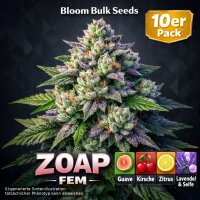 Bloom Bulk Seeds Zoap Fem 10St.