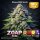 Bloom Bulk Seeds Zoap Fem 10St.