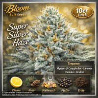 Bloom Bulk Seeds Super Silver Haze Fem 10St.