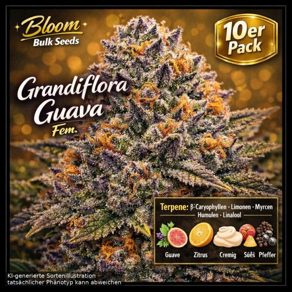 Bloom Bulk Seeds Grandiflora Guava Fem 10St.