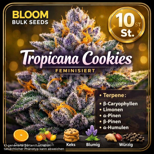 Bloom Bulk Seeds Tropicana Cookies Fem 10St.