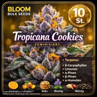 Bloom Bulk Seeds Tropicana Cookies Fem 10St.