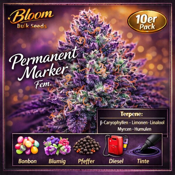 Bloom Bulk Seeds Permanent Marker Fem 10St.