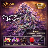 Bloom Bulk Seeds Permanent Marker Fem 10St.
