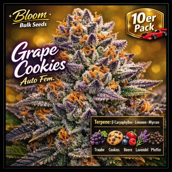 Bloom Bulk Seeds Grape Cookies Auto Fem 10St.