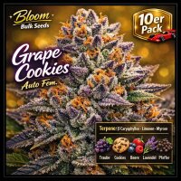 Bloom Bulk Seeds Grape Cookies Auto Fem 10St.
