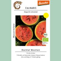 Wassermelone Blacktail Mountain (M11)