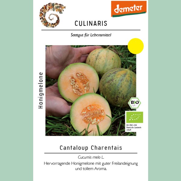 Honigmelone Cantaloup Charentais