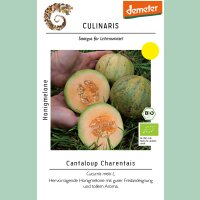 Honigmelone Cantaloup Charentais