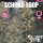 Criminal Seeds Schoko Loop Auto Fem 3St.