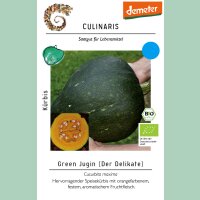 Kürbis Green Jugin