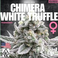 Criminal Seeds Chimera White Truffle Cali Limited Edition...