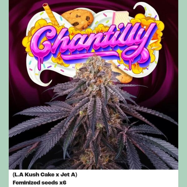 Perfect Tree Chantilly X6 Fem 6St.