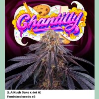 Perfect Tree Chantilly X6 Fem 6St.