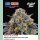 Perfect Tree Artic Cherries Fem 6St.