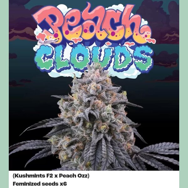 Perfect Tree Peach Clouds Fem 6St.