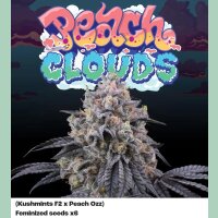 Perfect Tree Peach Clouds Fem 6St.