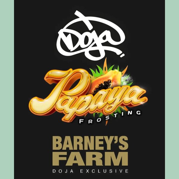 Barneys Farm x DOJA Papaya Frosting Fem 3St.