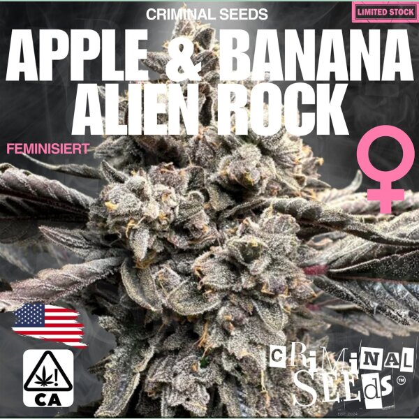 Criminal Seeds Apple Banana Alien Rock Fem 3St.