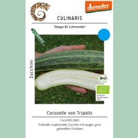Zucchini Cocozelle von Tripolis