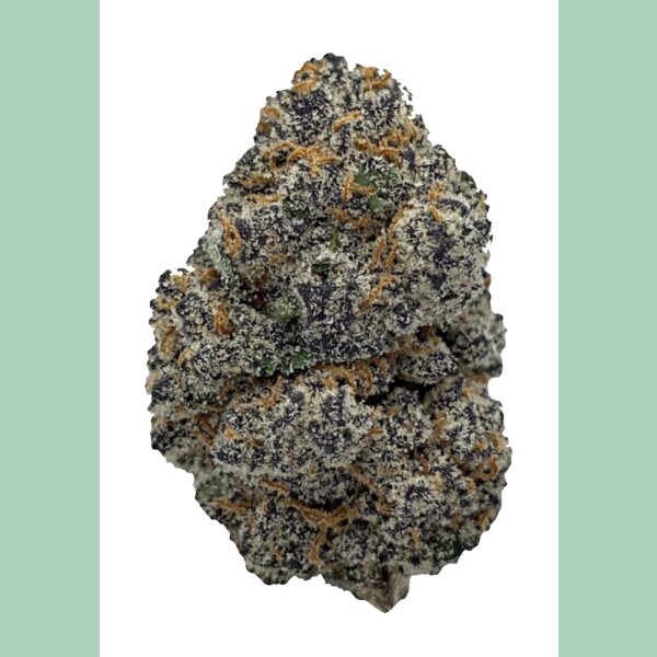 In House Genetics Tacky Glue Fem 3St.