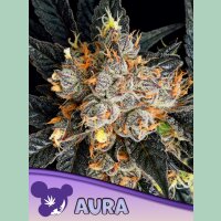 Anesia Aura Fem 3St.