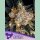 Anesia Aura Fem 3St.