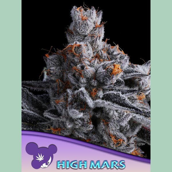 Anesia High Mars Fem 3St.