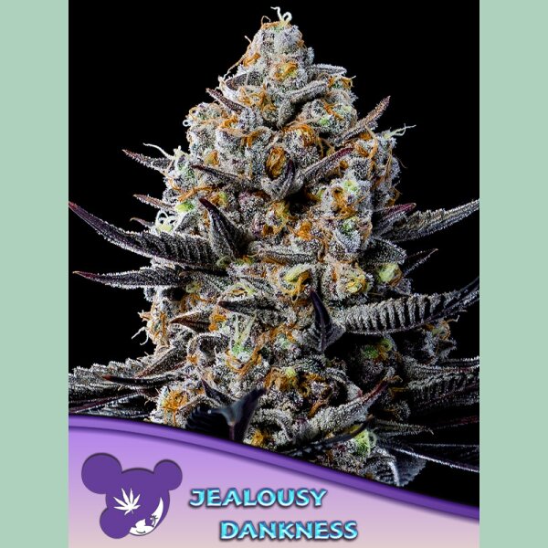 Anesia Jealousy Dankness Fem 3St.