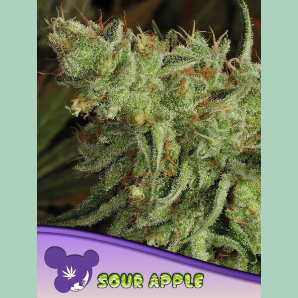 Anesia Sour Apple Fem 3St.
