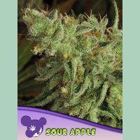 Anesia Sour Apple Fem 3St.