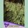 Anesia Sour Apple Fem 3St.