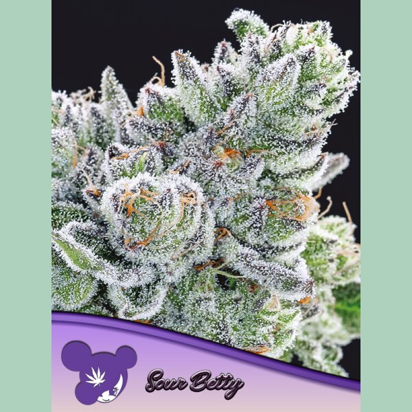 Anesia Sour Betty Fem 3St.