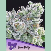 Anesia Sour Betty Fem 3St.