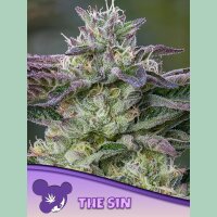 Anesia The Sin Fem 3St.