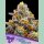 Anesia Purple Boost Highness Fem 3St.