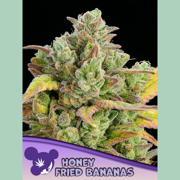Anesia Honey Fried Bananas Fem 3St.